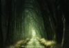 fear
