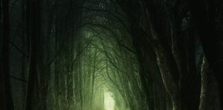 fear