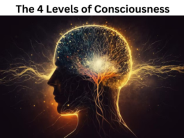 the-4-Levels-of -Consciousness
