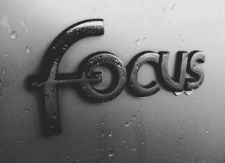 focus-factor