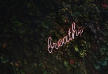 How Breathing Can Improve Your Immune System